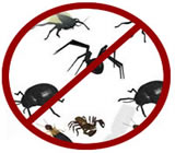 Dedetizadoras em Pontal