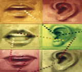 Fonoaudiologia em Pontal